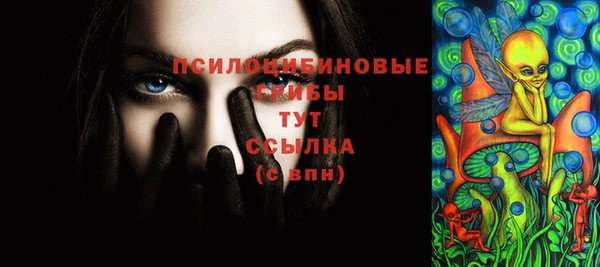 не бодяженный Арсеньев