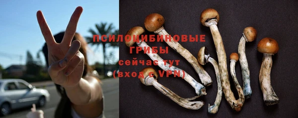 мескалин Аркадак