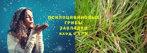 бошки Армянск