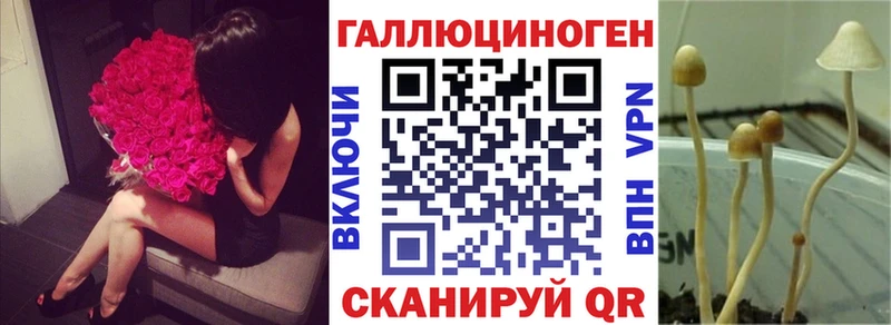 купить   маркетплейс наркотические препараты  Псилоцибиновые грибы ЛСД  Демидов 